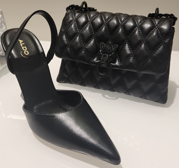 Sale at Aldo! icon